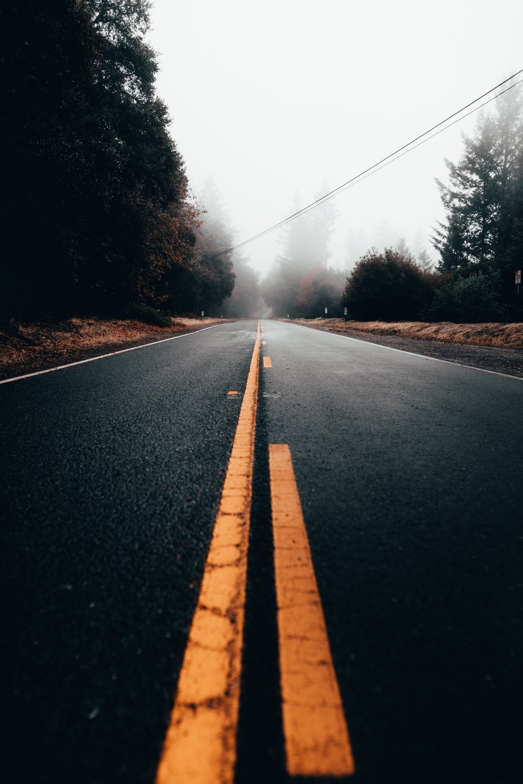 An empty road during daytime with fog in the background